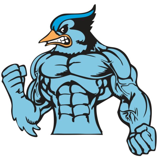 BAW BLUEJAY 16 RC Thumbnail