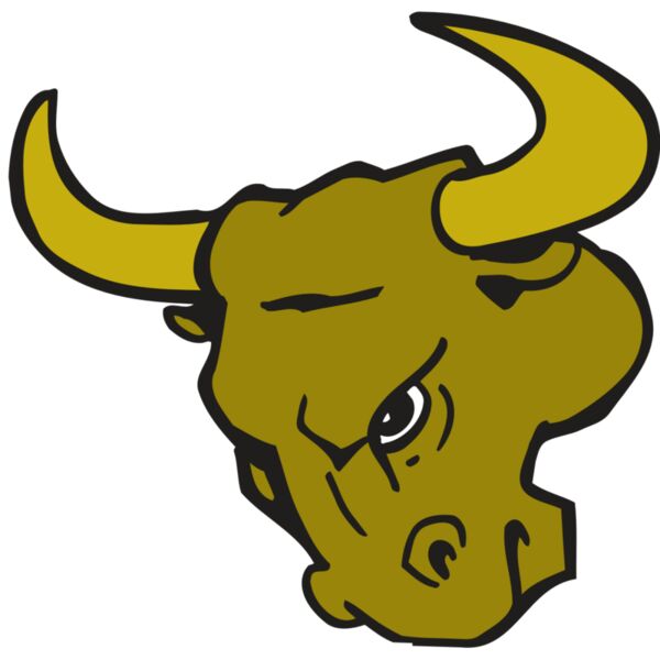 AR BULL 26 RC Thumbnail